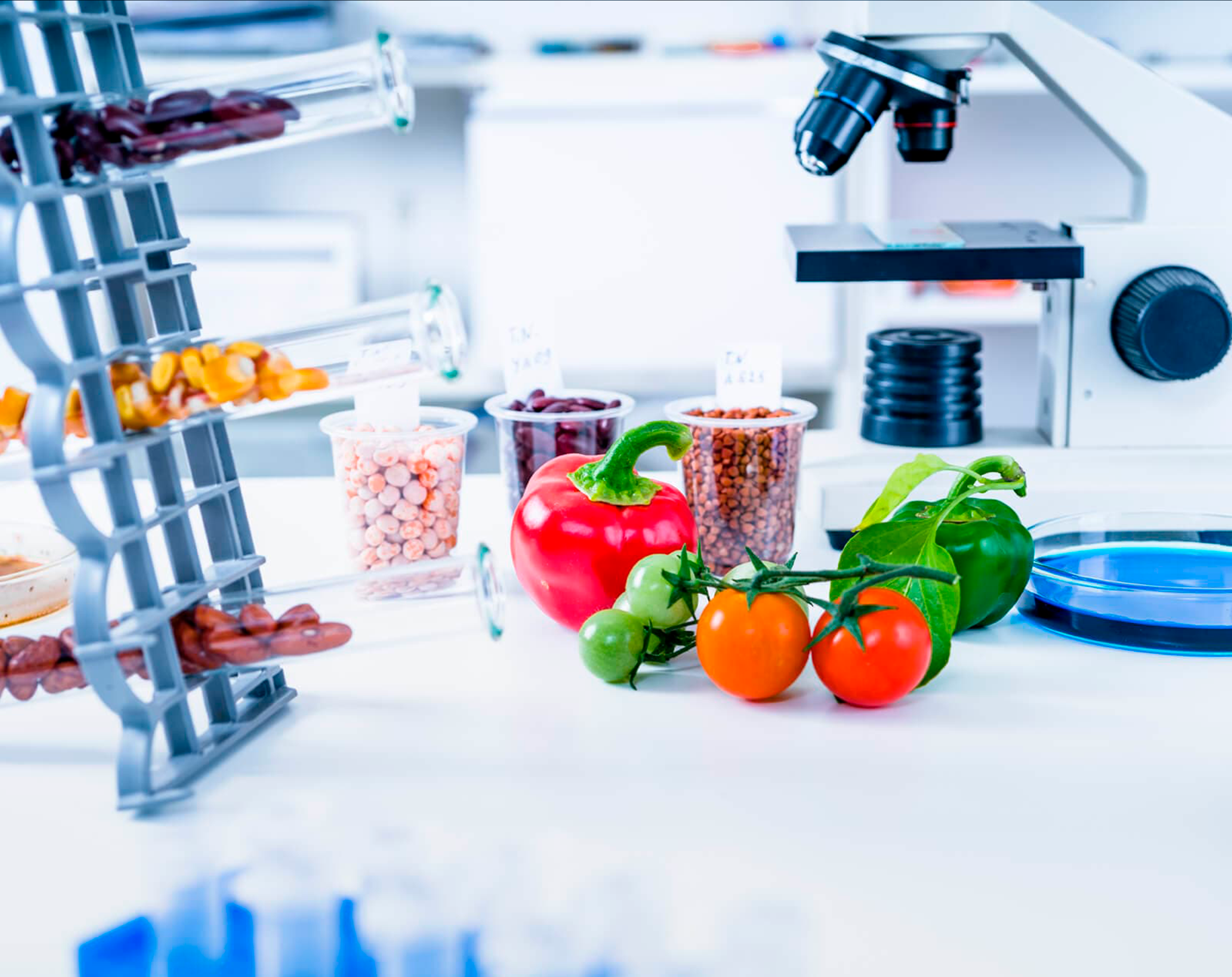 una verduras analizadas en un laboratorio